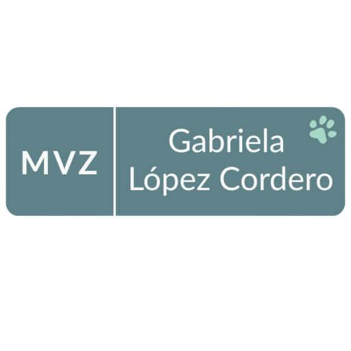 Logo de la veterinaria Gabriela López Cordero, sitio web diseñado por Phanie Digital